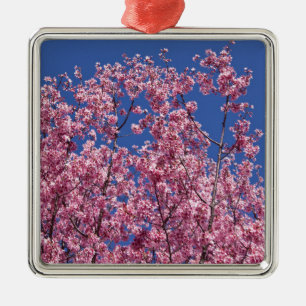 Sakura Kirschblüten im Blauen Silbernes Ornament