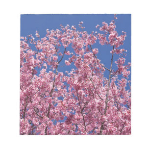 Sakura Kirschblüten in das Blau Notizblock