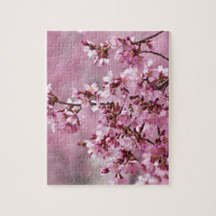 Sakura Kirschblüten Pastellrosa Schichten