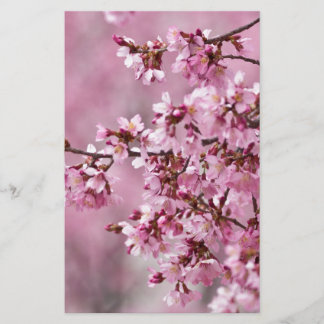 Sakura Kirschblüten Pastellrosa Schichten Briefpapier