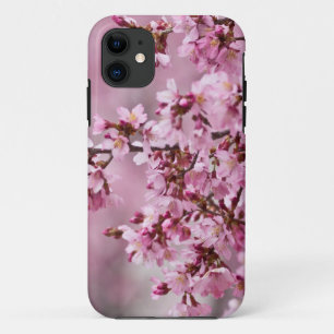 Sakura Kirschblüten Pastellrosa Schichten title_seo2