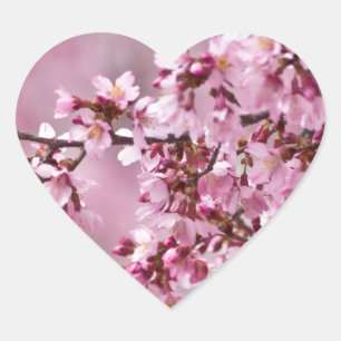 Sakura Kirschblüten Pastellrosa Schichten Herz-Aufkleber
