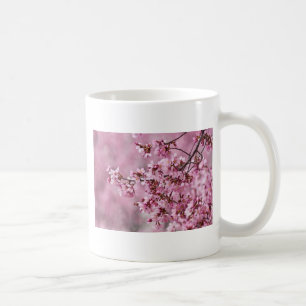 Sakura Kirschblüten Pastellrosa Schichten Kaffeetasse