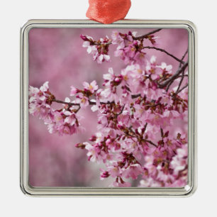 Sakura Kirschblüten Pastellrosa Schichten Silbernes Ornament
