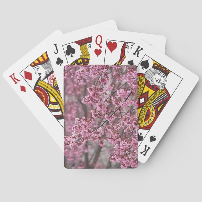 Sakura Kirschblüten pink Spielkarten (Rückseite)
