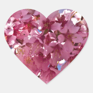 Sakura Kirschblüten Rote Sterne Herz-Aufkleber