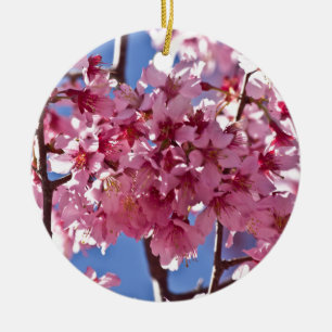 Sakura Kirschblüten Rote Sterne Keramikornament