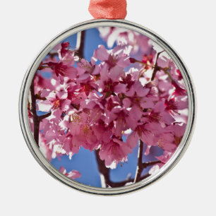 Sakura Kirschblüten Rote Sterne Silbernes Ornament