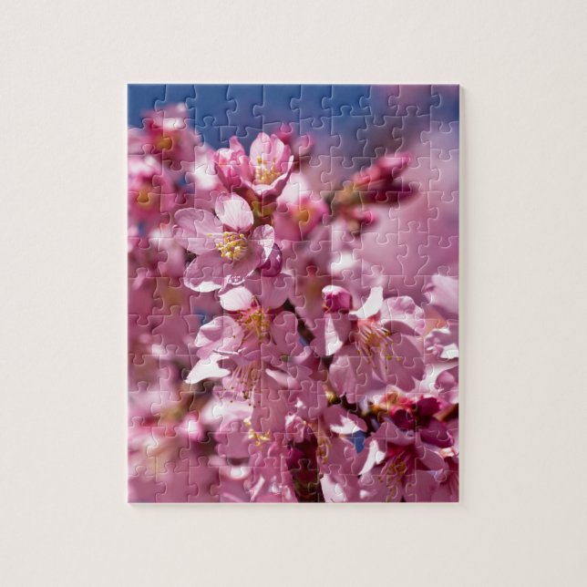 Sakura Kirschblüten von Sonnenlicht geküsst (Vertikal)