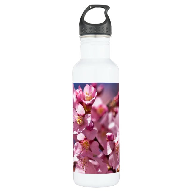 Sakura Kirschblüten von Sonnenlicht geküsst Edelstahlflasche (Vorderseite)