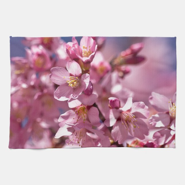 Sakura Kirschblüten von Sonnenlicht geküsst Geschirrtuch (Horizontal)