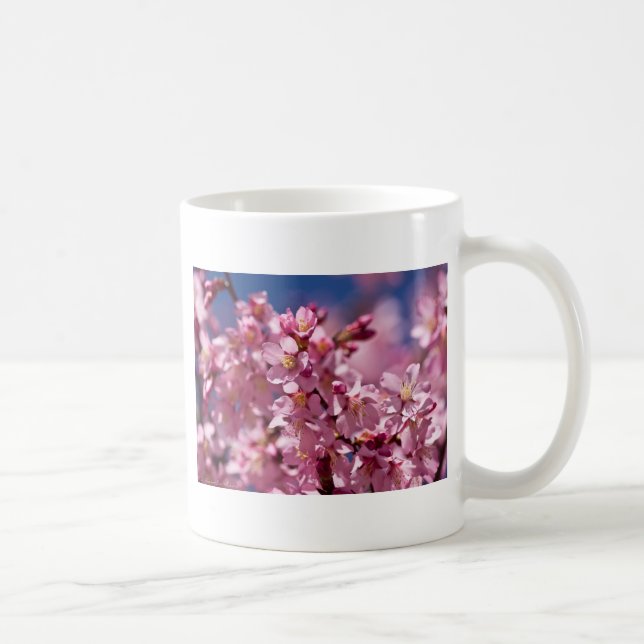 Sakura Kirschblüten von Sonnenlicht geküsst Kaffeetasse (Rechts)