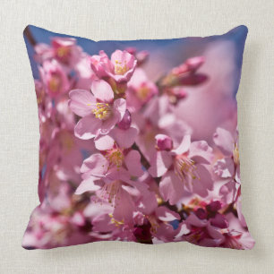 Sakura Kirschblüten von Sonnenlicht geküsst Kissen