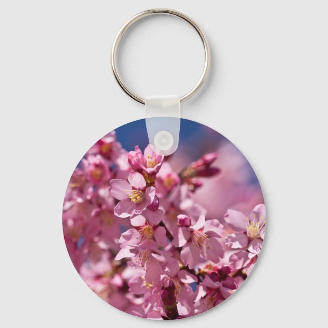 Sakura Kirschblüten von Sonnenlicht geküsst Schlüsselanhänger (Vorderseite)