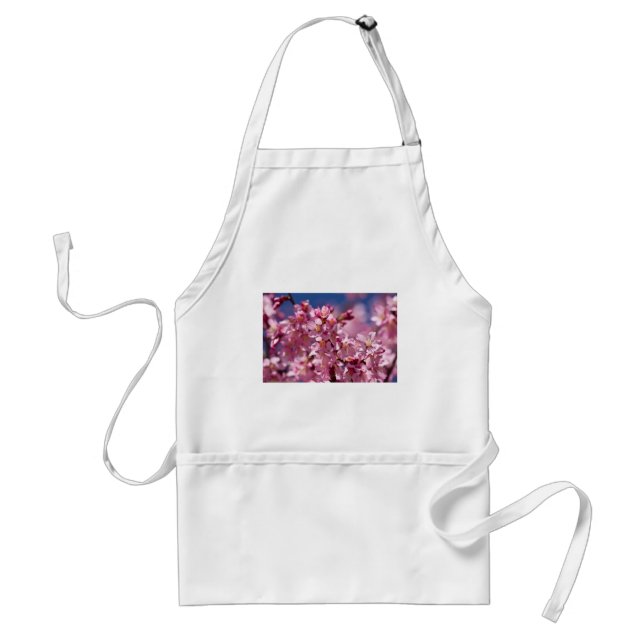 Sakura Kirschblüten von Sonnenlicht geküsst Schürze (Vorne)