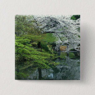 Sakura, Koishikawa Koraku-en-Garten, Tokio, Button