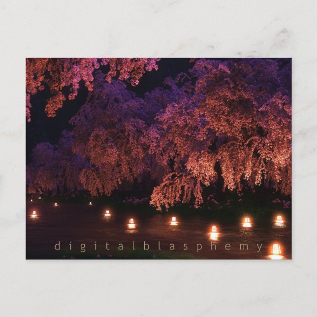 Sakura (Nacht) Postkarte (Vorderseite)