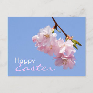 Sakura - Osterpostkarte Feiertagspostkarte