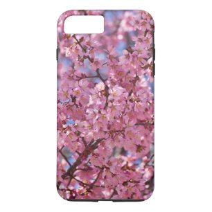 Sakura Pink Cherry Blossom Sky title_seo2
