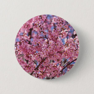 Sakura Rosa Kirschblütenhimmel Button