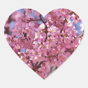Sakura Rosa Kirschblütenhimmel Herz-Aufkleber
