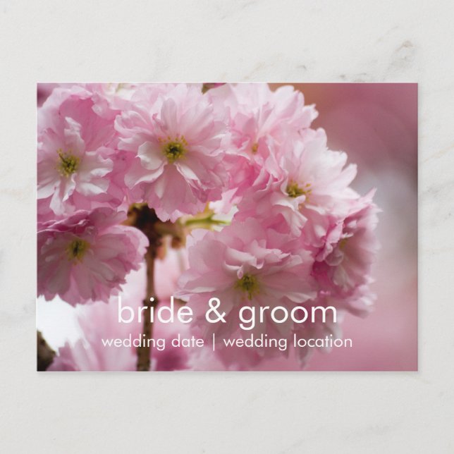 Sakura ・ Save the Date Postkarte (Vorderseite)