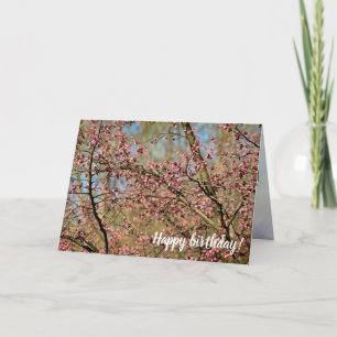 Sakura Tree ist bereit, im Frühlingsgarten zu blüh Karte