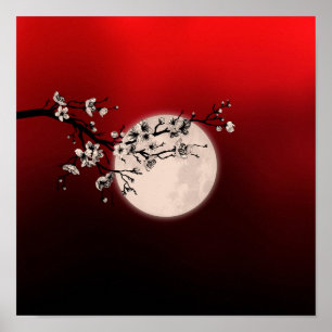 Sakura - weiße Blüte - Mond Poster