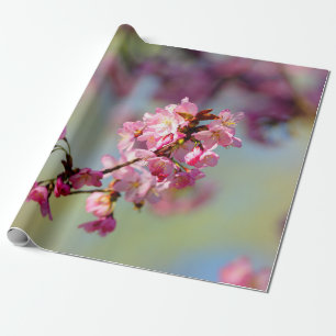 Sakurablüten auf grün, blau, Lila Geschenkpapier