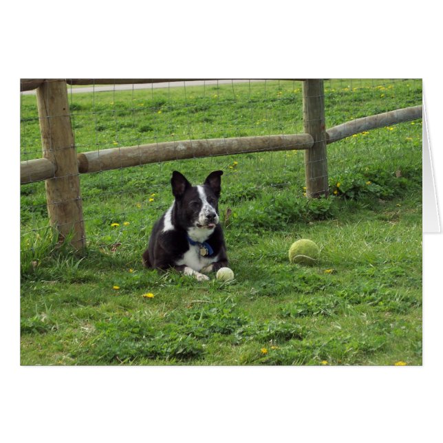 Sal_portrait2 (Vorderseite (Horizontal))