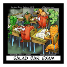 Salad Bar Exam Funny Vegan Avocat Poster