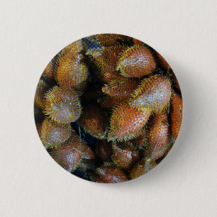Salak [Schlangenfrucht] Button