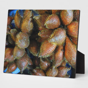 Salak [Schlangenfrucht] Fotoplatte