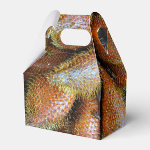 Salak [Schlangenfrucht] Geschenkschachtel