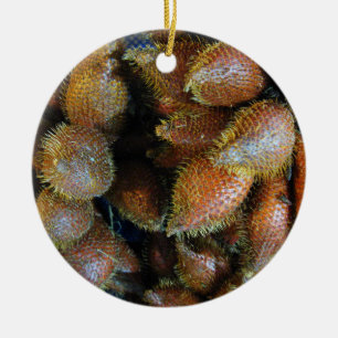 Salak [Schlangenfrucht] Keramik Ornament