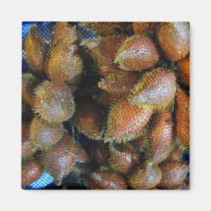 Salak [Schlangenfrucht] Magnet