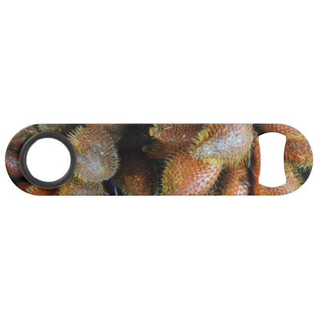 Salak [Schlangenfrucht] Speed Flaschenöffner (Vorderseite (Horizontal))