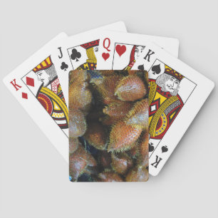 Salak [Schlangenfrucht] Spielkarten