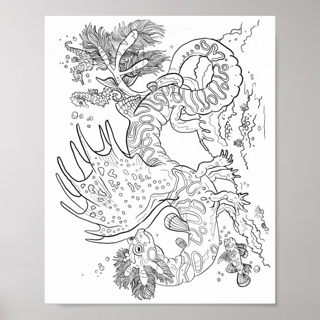 Salamandarin Sea Dragon Line Kunst Farbe für sich Poster (Vorne)