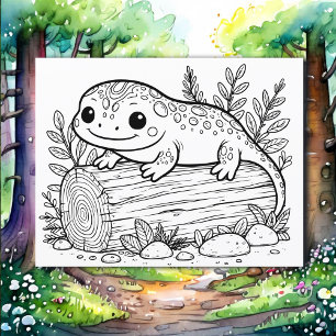 Salamander   Farbseite des Kindes