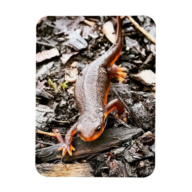 Salamander im Wald Magnet (Vertikal)