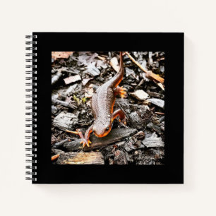 Salamander im Wald, Oregon Notizbuch
