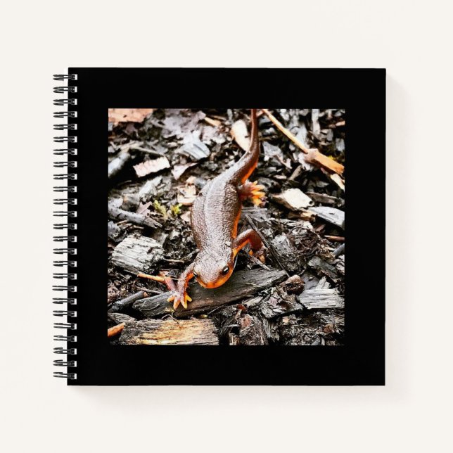 Salamander im Wald, Oregon Notizbuch (Vorderseite)