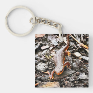 Salamander im Wald, Oregon Schlüsselanhänger