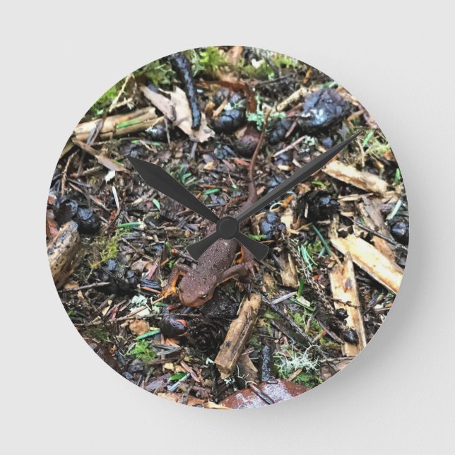Salamander im Wald, Washington Runde Wanduhr (Vorderseite)