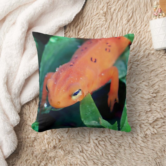 Salamander Raindrop, rot, am Auge Kissen (Decke)