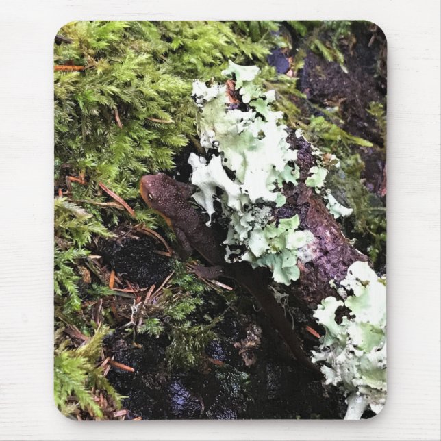 Salamander versteckt sich unter Log, Washington Mousepad (Vorne)