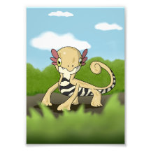 Salamandra