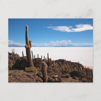 Salar de Uyuni Kaktus Postkarte