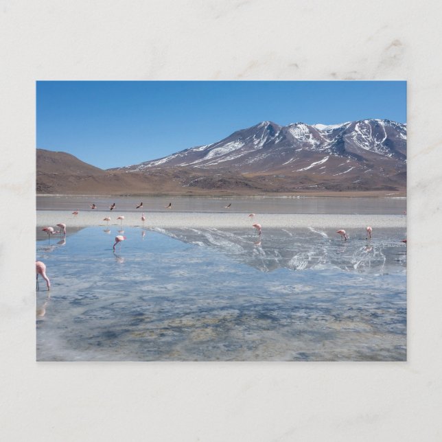 SALAR DE UYUNI SALT FLAT, BOLIVIEN POSTKARTE (Vorderseite)